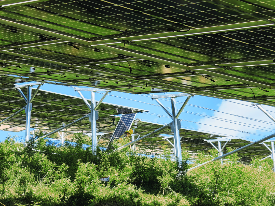 向光而行｜山西建投五建集團以“光伏藍”賦能“生態(tài)綠”